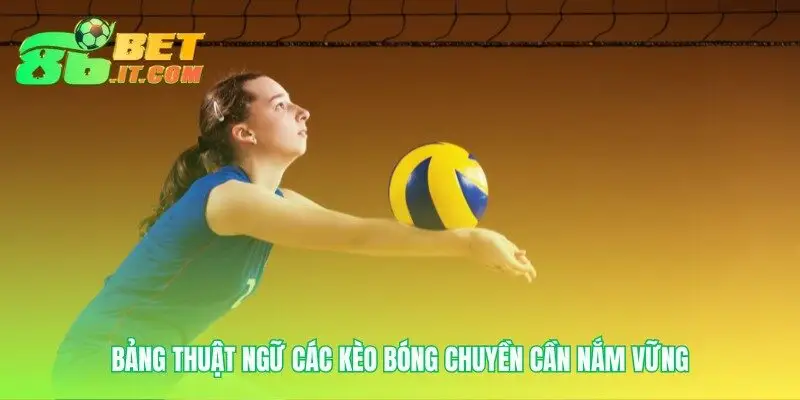 Nền tảng ngôn ngữ cho các kèo bóng chuyền thành công