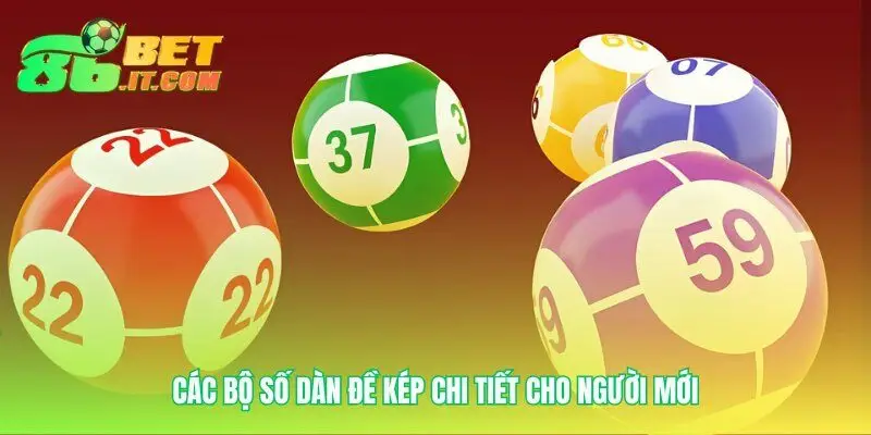 Nền tảng vững chắc cho chiến lược dàn đề kép