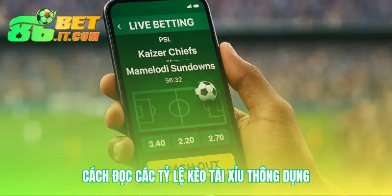 Những con số biết nói trong kèo tài xỉu cược