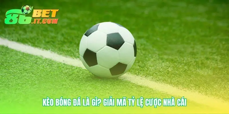 Ngôn ngữ của kèo bóng đá qua những con số