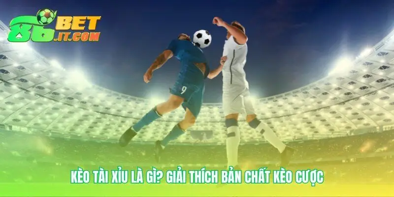 Cuộc chơi của những con số thay vì màu cờ