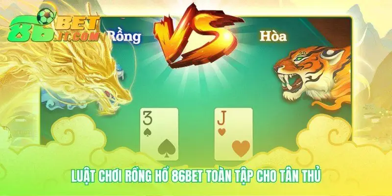 Cơ sở vững chắc cho mọi quyết định đặt cược