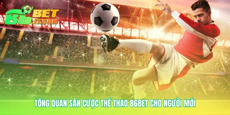 Bản đồ sân chơi cá cược an toàn và minh bạch